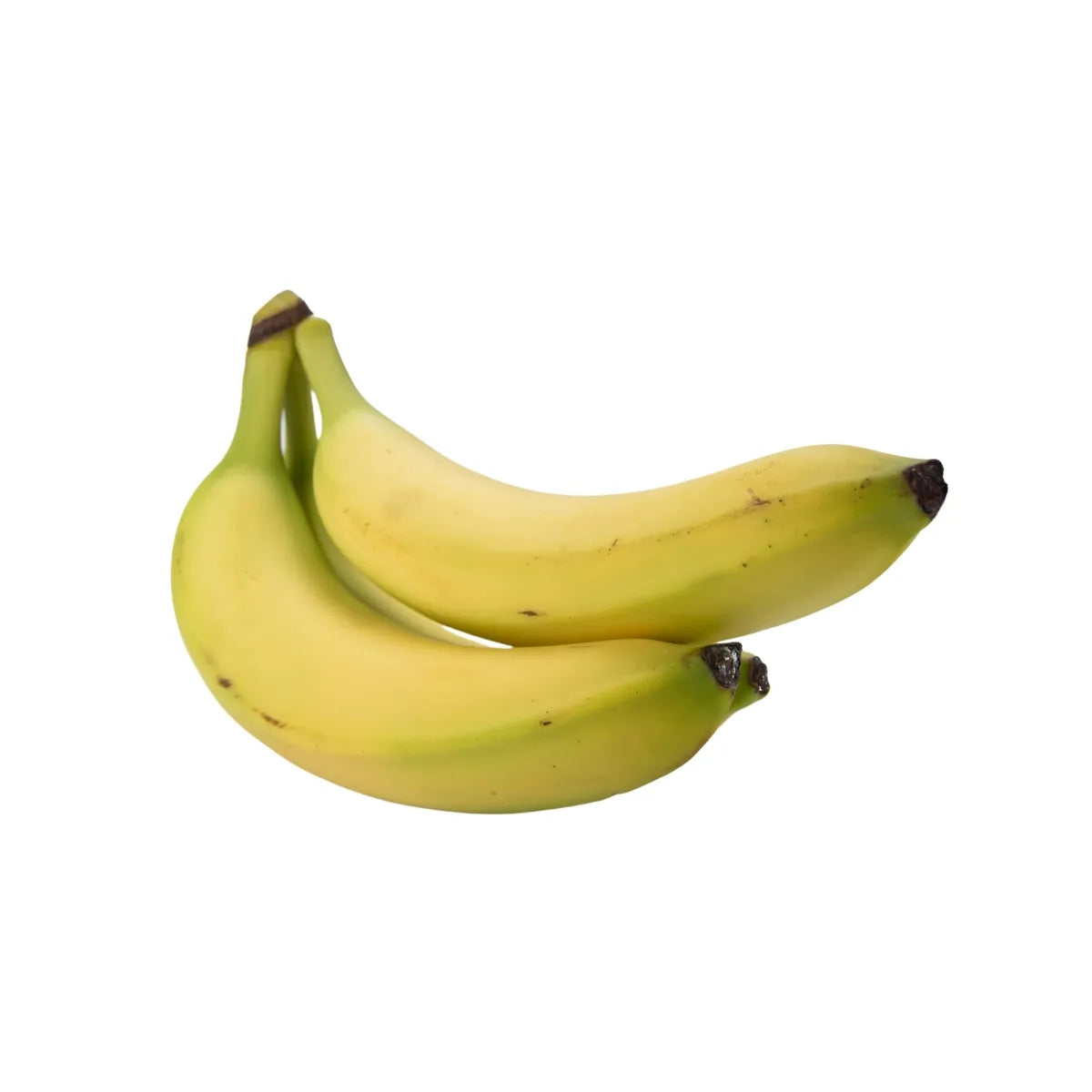Banana Robusta