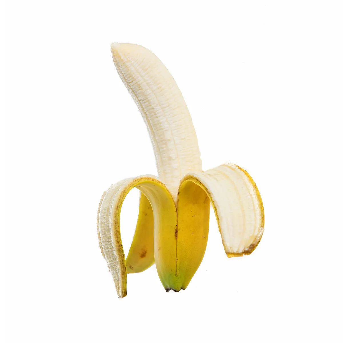 Banana Robusta