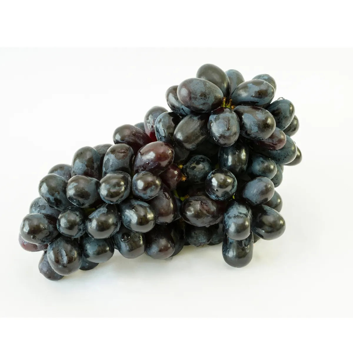 Grapes Black Sharad