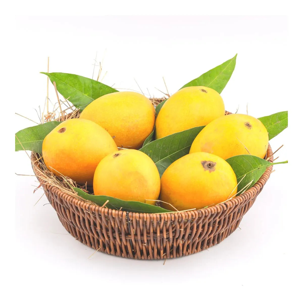 Mango Alphonso Ratnagiri (Large)