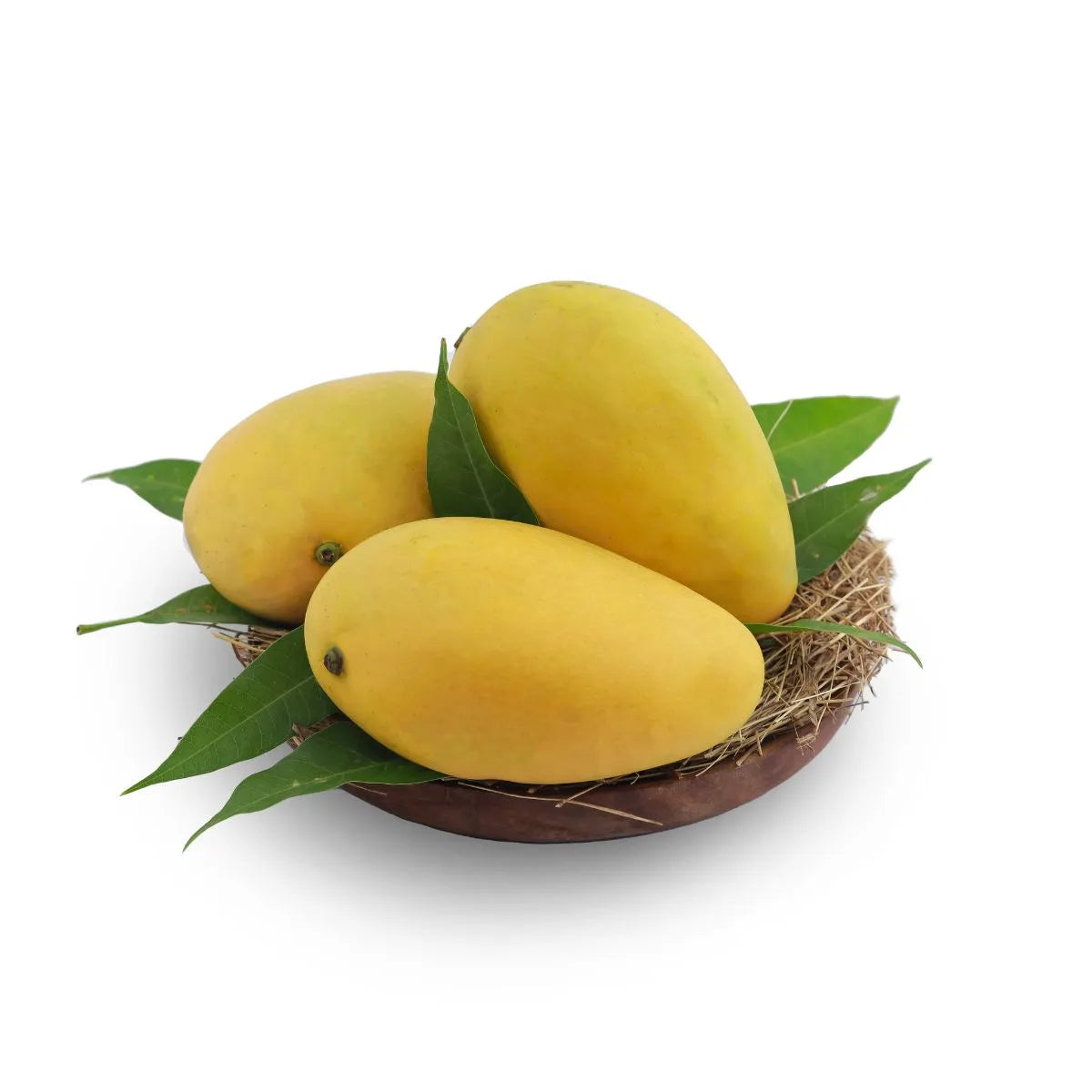 Mango Badami (Medium)