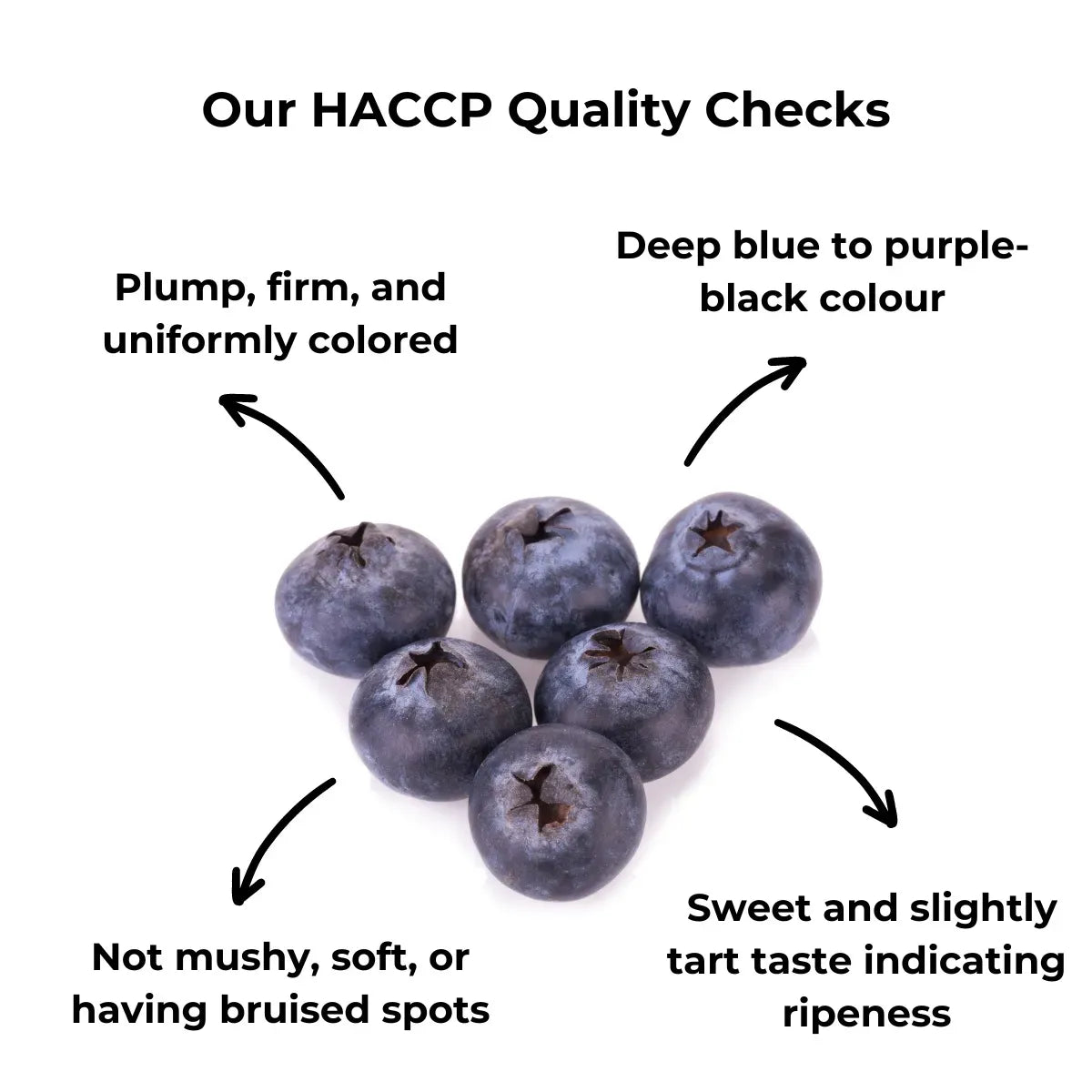 Blueberry (Indian)