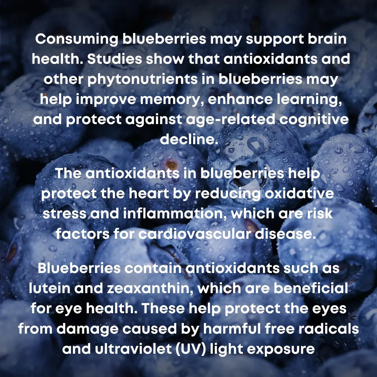 Blueberry (Indian)