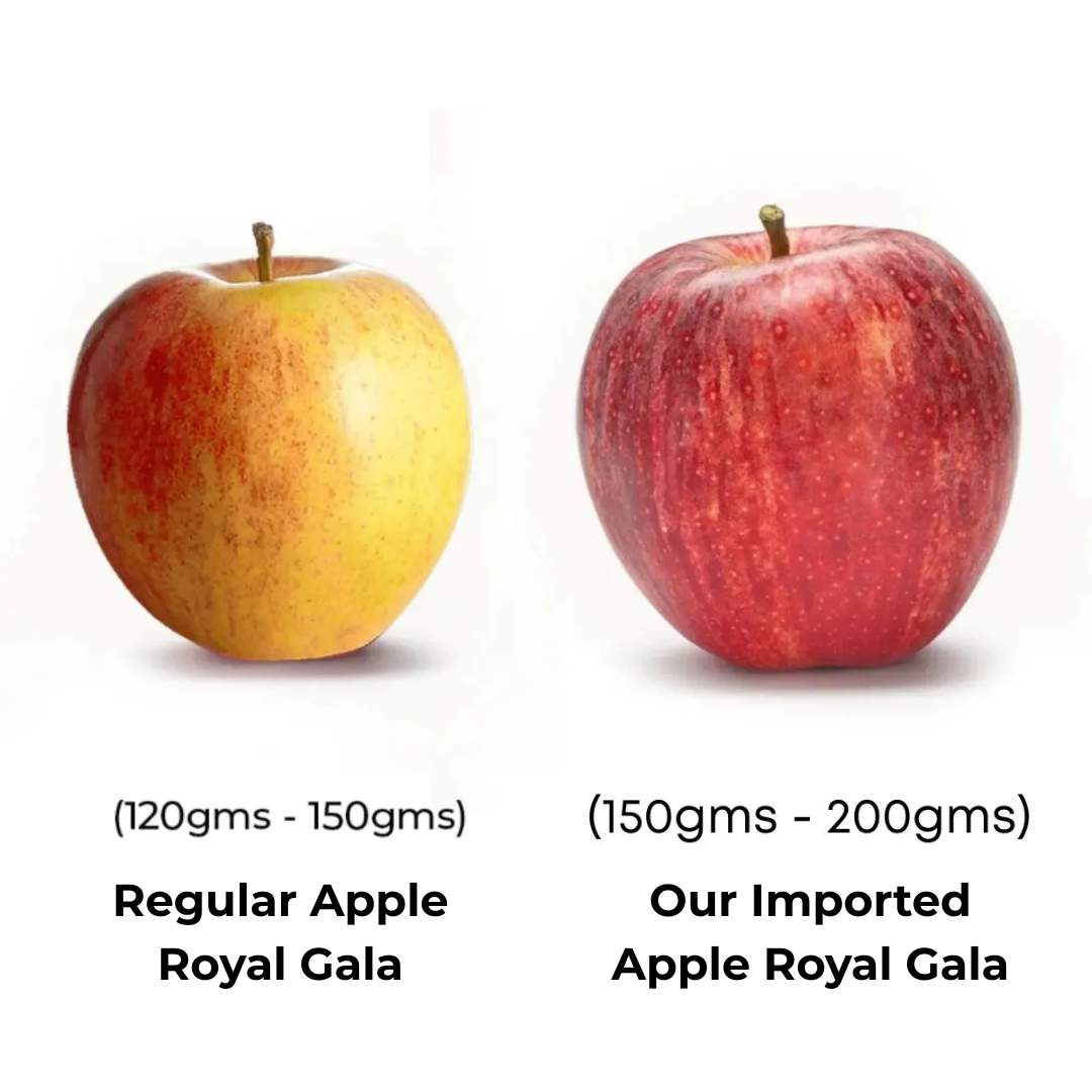 Premium Apple Royal Gala [Imported]